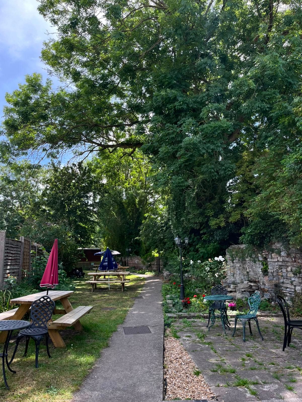 Benches and tables in the walled garden behind the café, shaded by a large tree